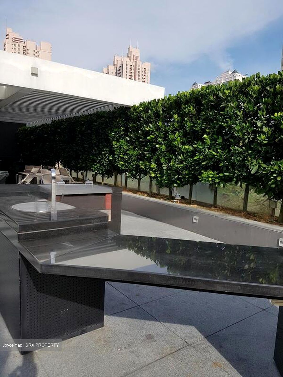 RV Residences (D10), Condominium #563598021